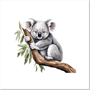 Koala In Australia Posters and Art